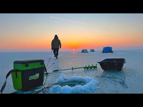 Видео: ДВЕ НОЧИ НА ЛЬДУ! ЭТОТ ТРОФЕЙ ЕЛЕ ВЛЕЗ В ЛУНКУ! Как мы чуть не замерзли на рыбалки! Рыбалка 1января