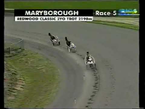 Видео: 2003 Redwood Classic, Мэриборо