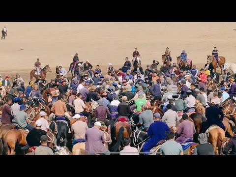 Видео: 31.10.25 Кукдала Аччи кишлоги Жамолбойни кўпкариси