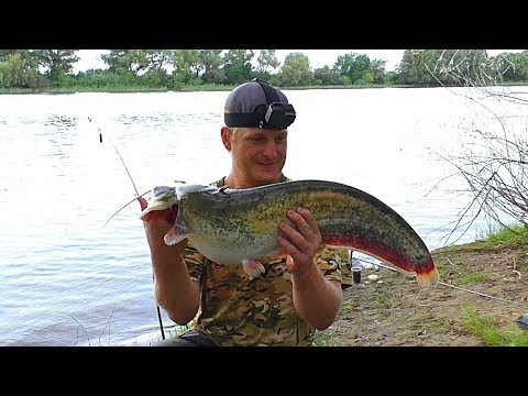 Видео: Рыбалка с ночёвкой в грозу. Ловля сома на червя. Разведка на сазана. Макушатник. Донка (фидер)