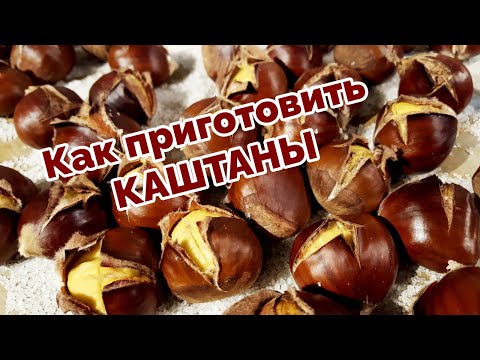 Видео: Как приготовить КАШТАНЫ. Супер лёгкий рецепт