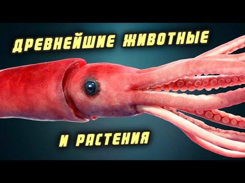 Видео: Какие древнейшие животные и растения живут и сегодня