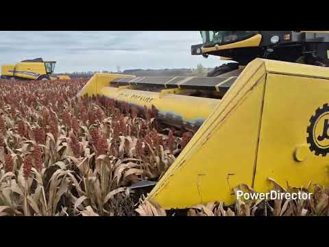 Видео: Збираємо сорго демо поле і не тільки.