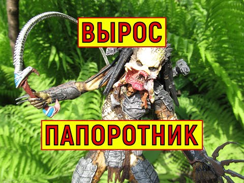 Видео: Обзор фигурок Хищник Волк. Три фигурки! NECA Wolf Predator