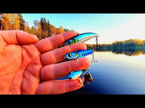 Видео: ТРИ ПРИМАНКИ БЕЗ КОТОРЫХ НЕ ОБОЙТИСЬ!!!РЫБАЛКА НА ЛЕСНОМ ОЗЕРЕ. ОКУНЬ,ЩУКА