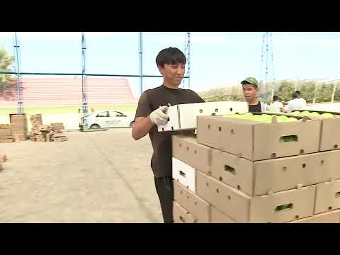 Видео: Аграрлы Қазақстан: Қазығұрт ауданының ауыл шаруашылығы мен жетістіктері