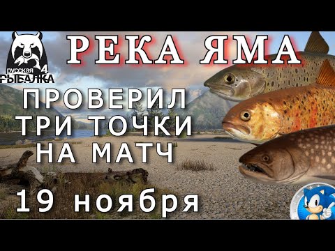Видео: 🌟РЕКА ЯМА🌟ПРОВЕРИЛ ТРИ ТОЧКИ КЛЁВА НА МАТЧИ🌟Русская Рыбалка 4 (РР4)🌟