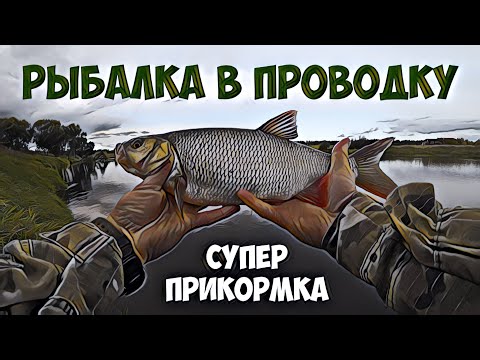 Видео: Рыбалка в проводку на супер прикормку.