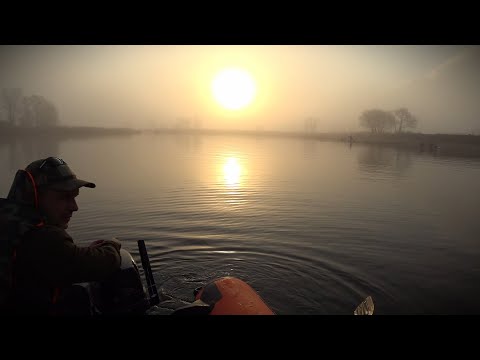 Видео: Охота на СУДАКА / Калининградский залив