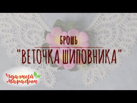 Видео: Мастер-класс Брошь "Веточка шиповника".Елена Дол. Удачный марафон. Онлайн-школа рукоделия Шкатулочка