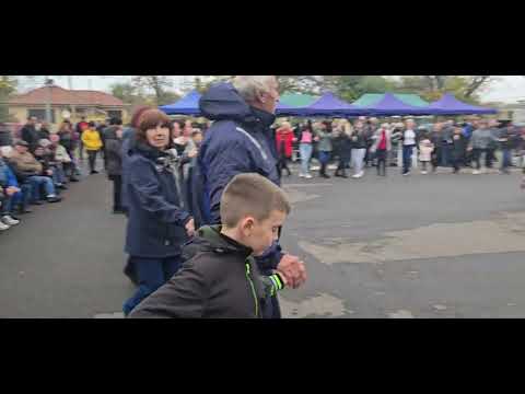 Видео: Цветелина 