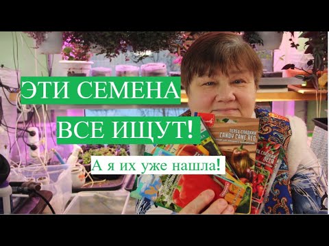 Видео: ЭТИ СЕМЕНА ИЩУТ ВСЕ! А Я ТЕПЕРЬ ЗНАЮ, ГДЕ ИХ МОЖНО НАЙТИ!