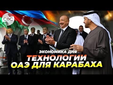 Видео: Магнит для инвесторов: Азербайджан привлекает бизнес ОАЭ