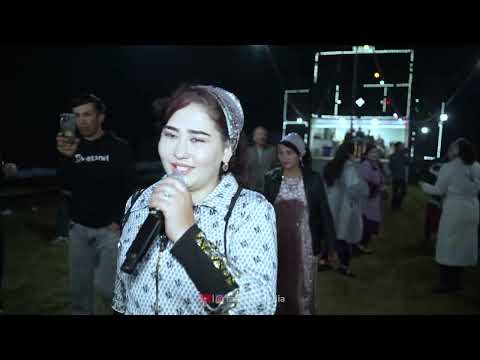 Видео: 4к Лайло прямой эфир  Туйи С.м