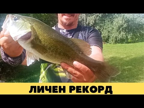 Видео: ПОДОБРИХ РЕКОРДА СИ ЗА БАС.