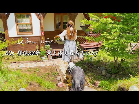 Видео: [Отчет] 27 лет миграции Кухонные травы 🌿 Заводим домашний огород | 60-е | влог