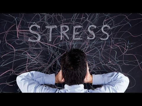 Видео: Стресс🌻зикки💐депрессия💐чист?🌿Чи бояд кард?⚘🌻