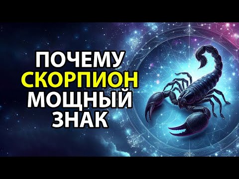 Видео: Почему СКОРПИОН - мощный знак зодиака. 💪