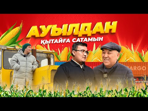 Видео: Ауылда жүріп дүниежүзіне сататын өнім. Қазақстаннан әлемге сауда жасауға мүмкіндігі.