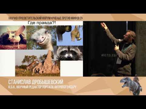 Видео: Ученые против мифов 2-10. Станислав Дробышевский: Мифы о Пупе Земли на Вершине Эволюции