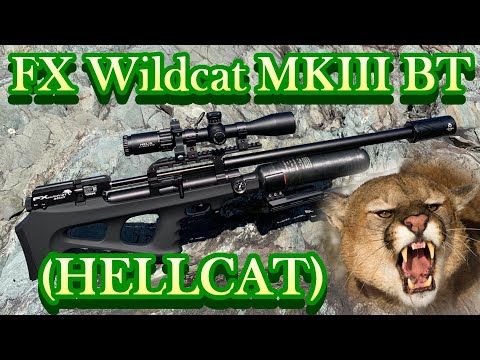 Видео: НОВЫЙ FX Wildcat MKIII | Бутылка | 41-грановые слизни Zan