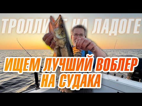 Видео: Троллинг на Ладоге. Ищем рабочий воблер на верхового судака