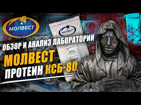 Видео: Молвест Протеин Воронеж | Protein | Разоблачитель | Отзыв | Анализ | Состав | Стоит ли купить