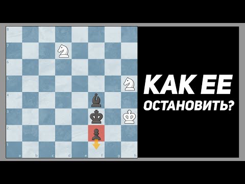 Видео: Могут Ли Белые Остановить Пешку??