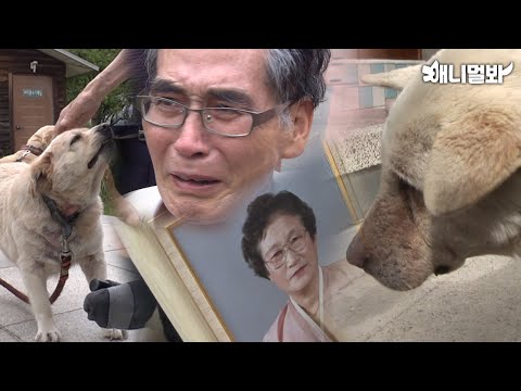 Видео: Грустные истории, которые заставили плакать всю съемочную группу…😿
