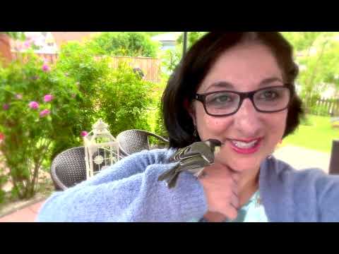 Видео: За ним всегда очередь I Обед за 10 минут | Мой любимый Дегустатор | К Элине❤️