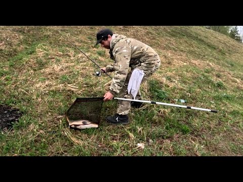 Видео: Ловля карпа на Трояновском сбросе на поплавок!!!