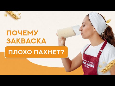 Видео: Что происходит с закваской? Или почему она плохо пахнет?