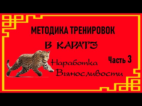 Видео: Методика тренировок в каратэ. Наработка выносливости Часть 3