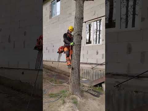 Видео: Снаряжение арбориста. Часть 2