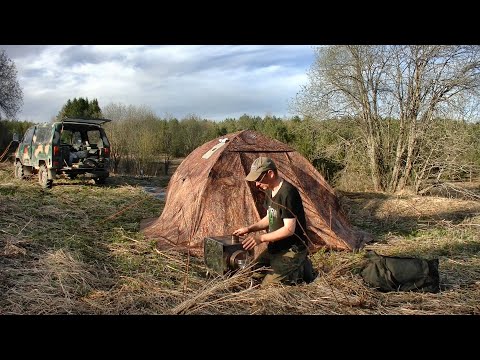 Видео: Накопал и чермета и монет #461