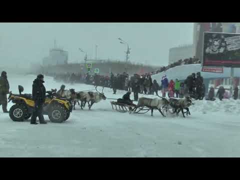 Видео: ВОРКУТА.  Открытие Спартакиады народов севера 03 11 2014