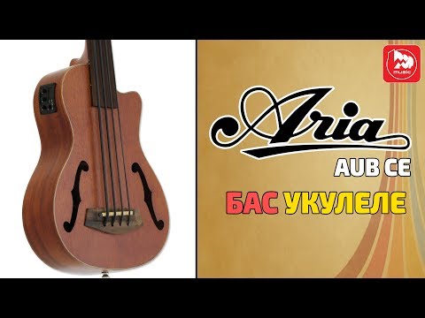 Видео: ARIA AUB-CE/FL Безладовое бас-укулеле - редкий музыкальный инструмент