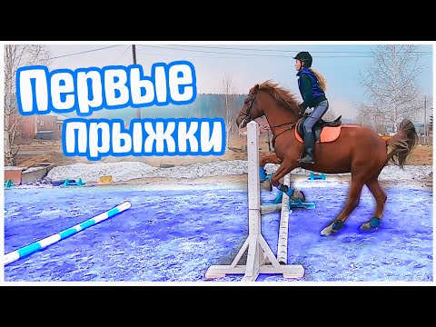 Видео: Один День из Жизни КОННИКА / Первые прыжки  KonoVLOG