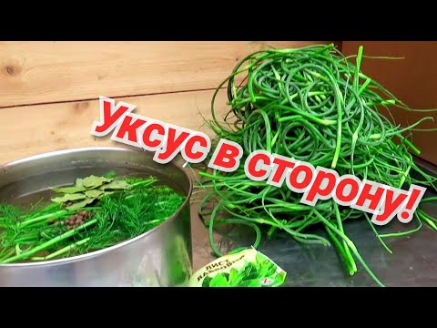 Видео: Плёвый рецепт засолки чесночных стрел.