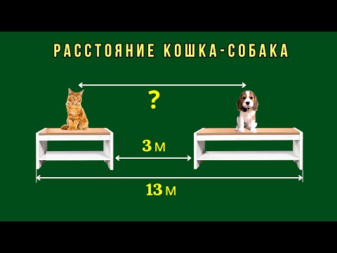 Видео: БОЛЬШИНСТВО ПОПАДАЕТСЯ НА ЭТОЙ ПРОСТОЙ ЗАДАЧЕ!