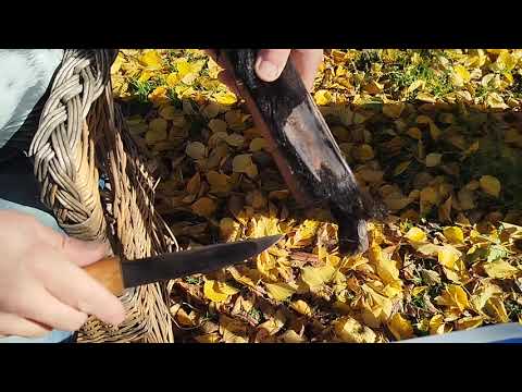 Видео: Обзор колымского ножа, сервис и уход