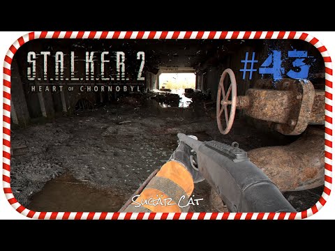 Видео: Путь до "Икара" #43 😸 S.T.A.L.K.E.R. 2: Heart of Chornobyl