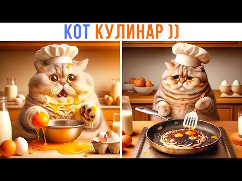 Видео: КОТ КУЛИНАР ))) | Приколы с котами | Мемозг 1372