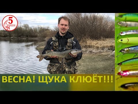 Видео: Весна! Микроречка! Щука клюет на спиннинг!