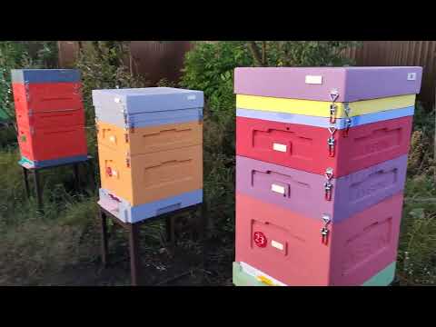 Видео: ЛОВУШКИ ДЛЯ ОС И ОТПУГИВАНИЕ ПТИЦ НА МОЕЙ ПАСЕКЕ.