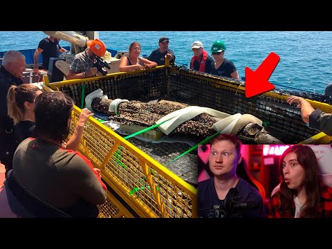 Видео: Эти Рыбаки не Ожидали Поймать Это | РЕАКЦИЯ на Мастерскую Настроения