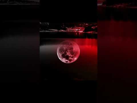 Видео: Maksim – Золотыми Рыбками (Sumrak remix) (Slowed down)