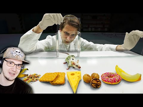 Видео: МАМИКС ► ВЫБЕРЕТ ЛИ МЫШЬ СЫР? ( Mamix? ) | Реакция