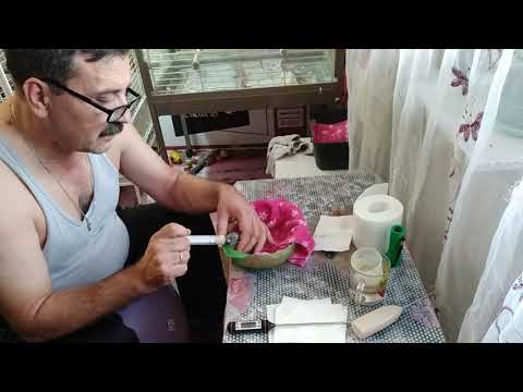 Видео: Содержание кормление птенцов Жако