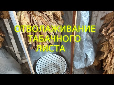Видео: Увлажнение табака